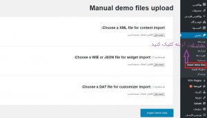 One Click Demo Import