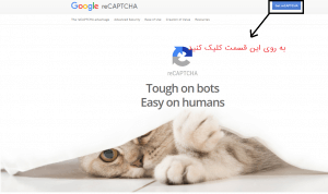 Gravity Forms No CAPTCHA reCAPTCHA