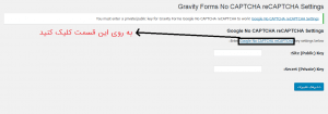 Gravity Forms No CAPTCHA reCAPTCHA