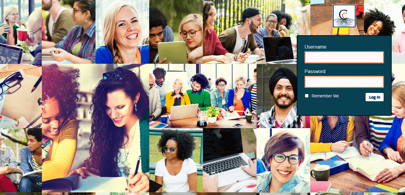 Customize Admin Login